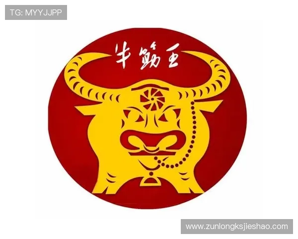 用户如何评价尊龙凯时网址，真实反馈汇总