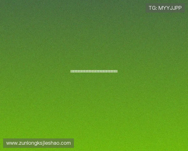 新西兰与伊朗主教练执教经验及战术策略在世界杯中的实际应用对比
